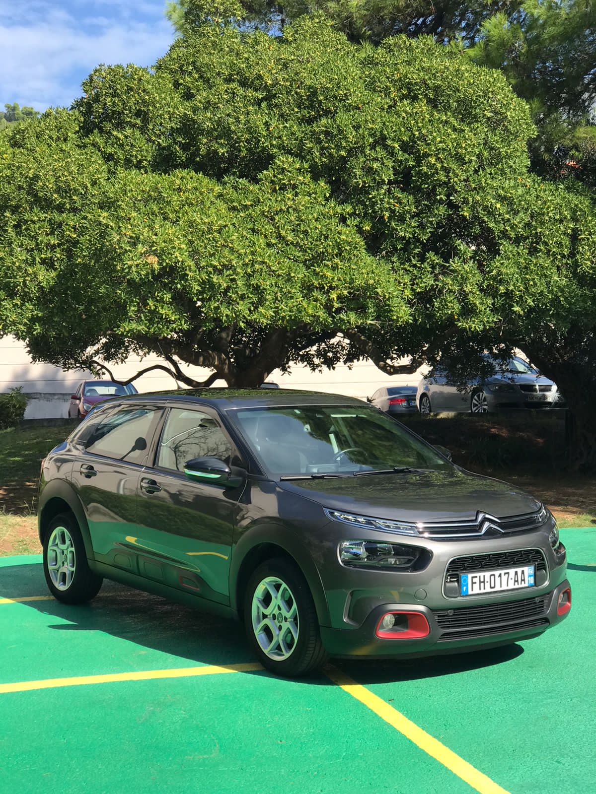 Citroen C4 Cactus - Image 8